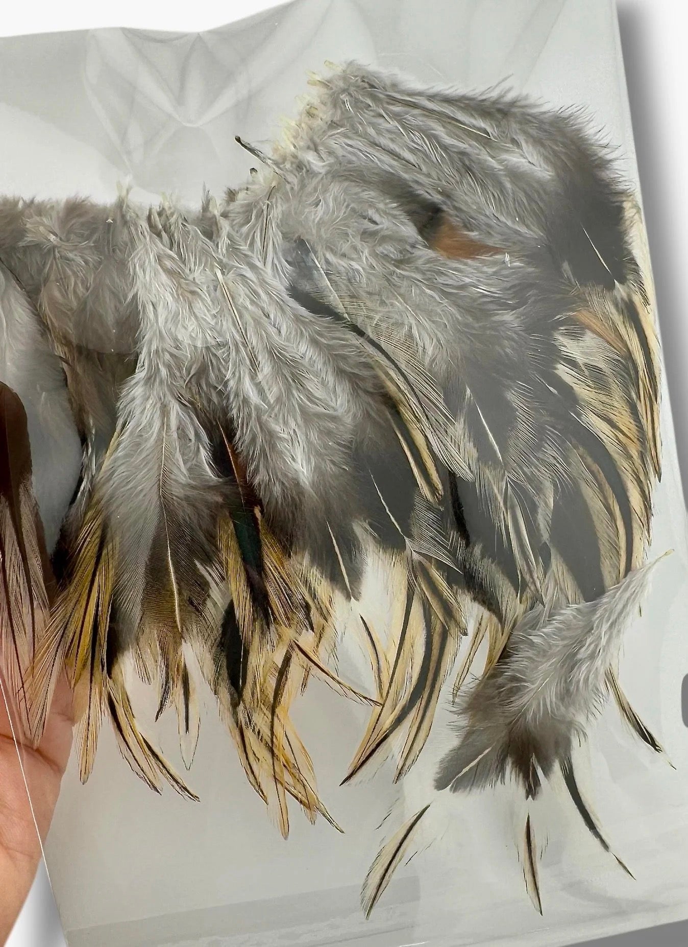 100% Natural Red Rooster Feathers