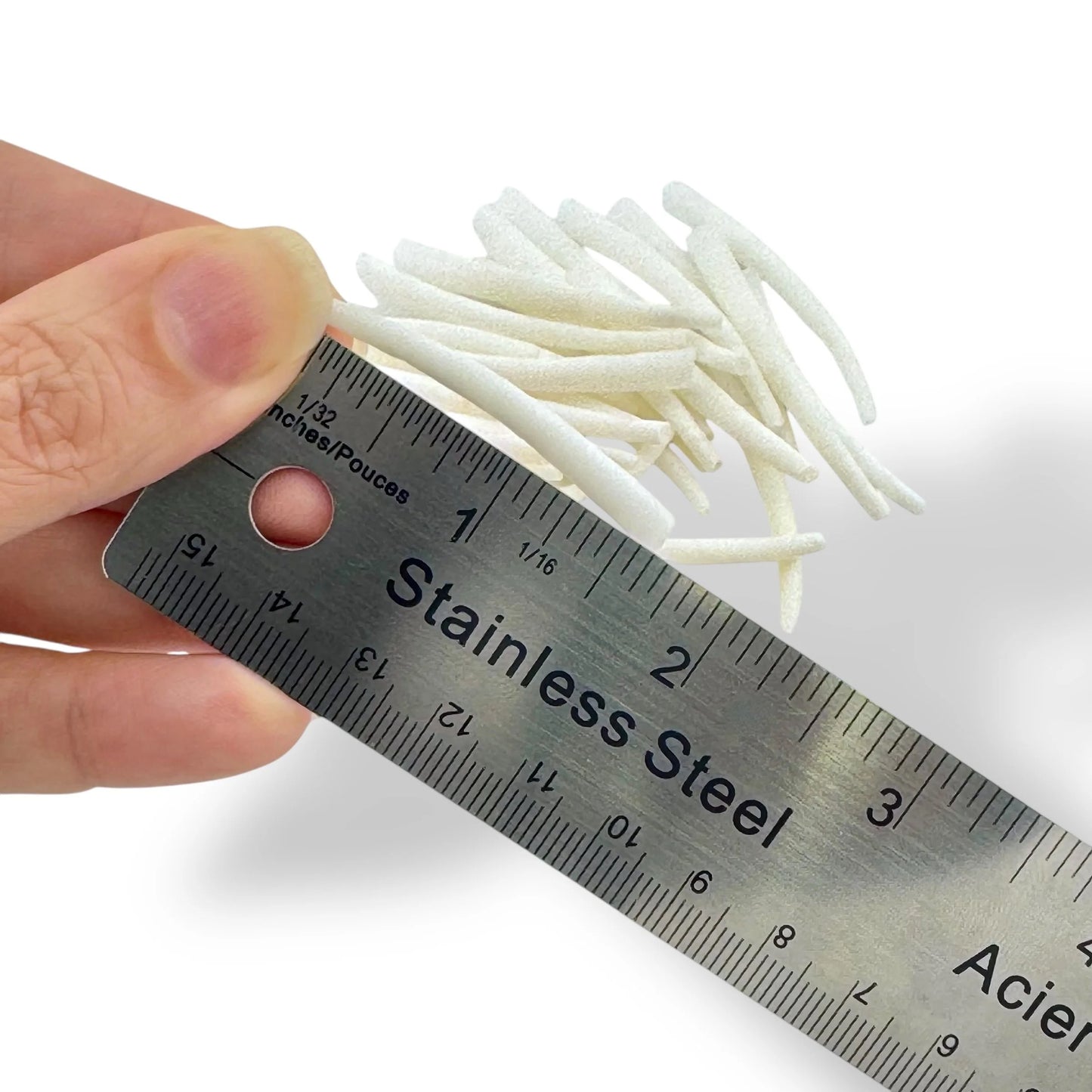 High Quality Dentalium - Size Range 1.75" - 2"